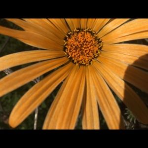 Meet your Posher, Kylee